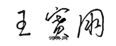 駱恆光王賽朋草書個性簽名怎么寫