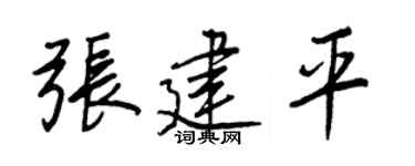 王正良張建平行書個性簽名怎么寫