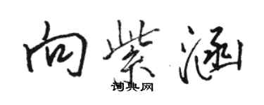 駱恆光向紫涵行書個性簽名怎么寫