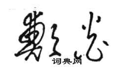 駱恆光鄭炎草書個性簽名怎么寫