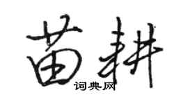 駱恆光苗耕行書個性簽名怎么寫