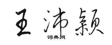 駱恆光王沛穎行書個性簽名怎么寫