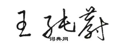 駱恆光王純蔚草書個性簽名怎么寫