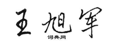駱恆光王旭軍行書個性簽名怎么寫