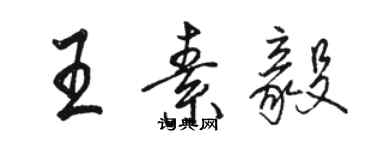 駱恆光王素毅行書個性簽名怎么寫