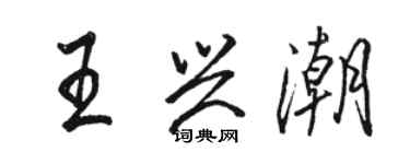 駱恆光王興潮行書個性簽名怎么寫