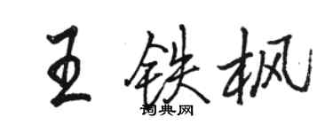 駱恆光王鐵楓行書個性簽名怎么寫