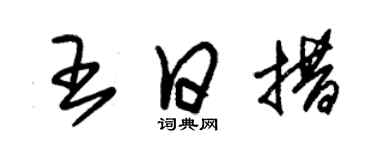 朱錫榮王日措草書個性簽名怎么寫