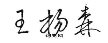 駱恆光王楊森草書個性簽名怎么寫