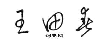 駱恆光王田春草書個性簽名怎么寫