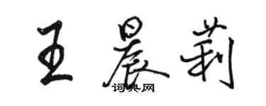 駱恆光王晨莉行書個性簽名怎么寫