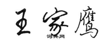 駱恆光王家鷹行書個性簽名怎么寫