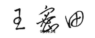 駱恆光王密田草書個性簽名怎么寫