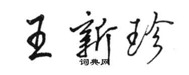 駱恆光王新珍行書個性簽名怎么寫
