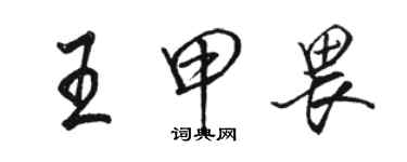 駱恆光王甲畏行書個性簽名怎么寫