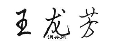 駱恆光王龍芳行書個性簽名怎么寫
