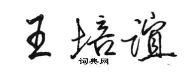 駱恆光王培誼行書個性簽名怎么寫