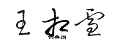 駱恆光王相雪草書個性簽名怎么寫