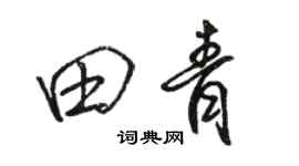 駱恆光田青行書個性簽名怎么寫