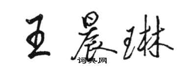 駱恆光王晨琳行書個性簽名怎么寫