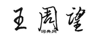 駱恆光王周望行書個性簽名怎么寫