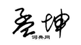 朱錫榮孟坤草書個性簽名怎么寫