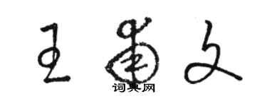 駱恆光王甫文草書個性簽名怎么寫