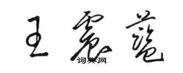 駱恆光王震藍草書個性簽名怎么寫