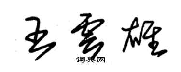 朱錫榮王雲雄草書個性簽名怎么寫