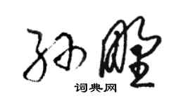 駱恆光孫野草書個性簽名怎么寫