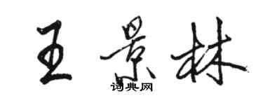 駱恆光王景林行書個性簽名怎么寫