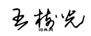 朱錫榮王樹光草書個性簽名怎么寫