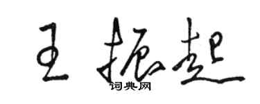 駱恆光王振起草書個性簽名怎么寫