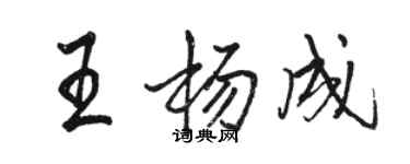 駱恆光王楊成行書個性簽名怎么寫