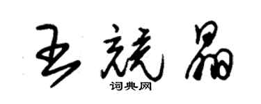 朱錫榮王競晶草書個性簽名怎么寫