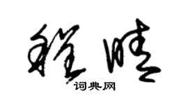 朱錫榮程晴草書個性簽名怎么寫