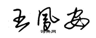 朱錫榮王鳳安草書個性簽名怎么寫