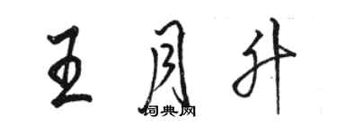 駱恆光王月升行書個性簽名怎么寫