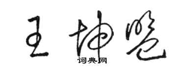 駱恆光王坤盟草書個性簽名怎么寫