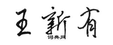 駱恆光王新有行書個性簽名怎么寫