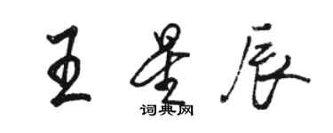 駱恆光王星辰行書個性簽名怎么寫