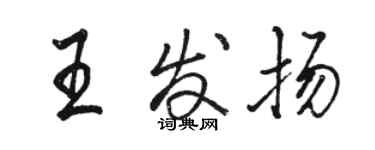 駱恆光王發揚行書個性簽名怎么寫