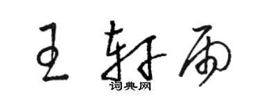 駱恆光王軒雨草書個性簽名怎么寫