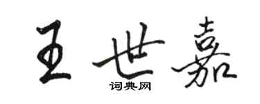 駱恆光王世嘉行書個性簽名怎么寫