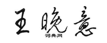 駱恆光王晚意行書個性簽名怎么寫