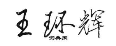 駱恆光王環輝行書個性簽名怎么寫