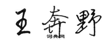 駱恆光王奔野行書個性簽名怎么寫