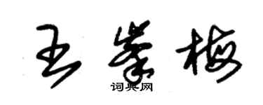 朱錫榮王峰梅草書個性簽名怎么寫