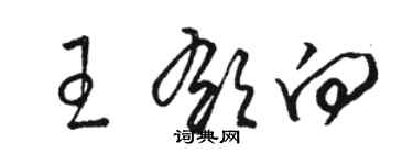 駱恆光王郁向草書個性簽名怎么寫