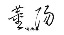 駱恆光董陽草書個性簽名怎么寫